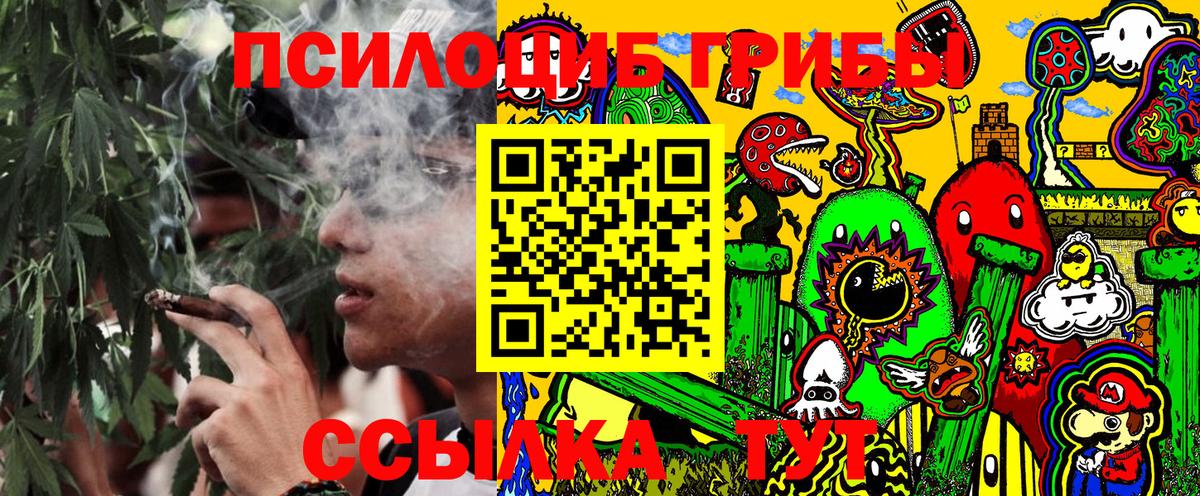 Псилоцибиновые грибы Magic Shrooms  Вход с VPN  Галлюциногенные грибы мицелий  Чехов 